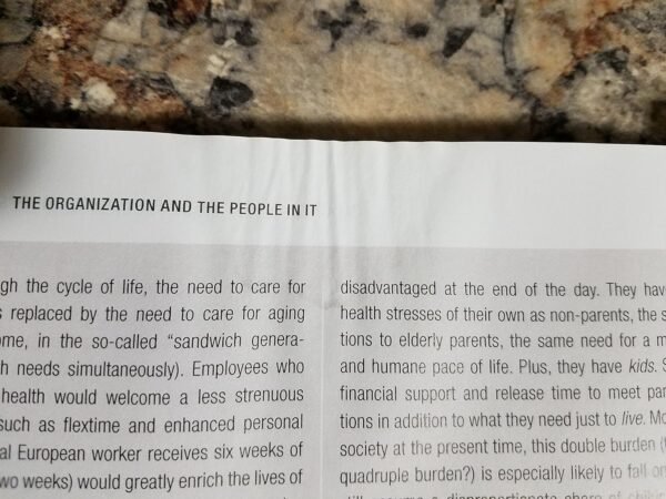 Moral Issues in Business Paperback – International Edition, 1 January 2015 - Image 3