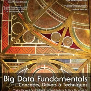 Big Data Fundamentals: Concepts, Drivers & Techniques Paperback – 5 January 2016