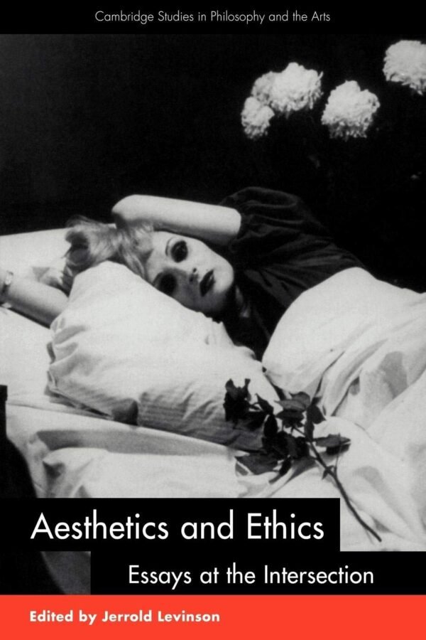 Aesthetics and Ethics: Essays at the Intersection Paperback – 12 January 2008
