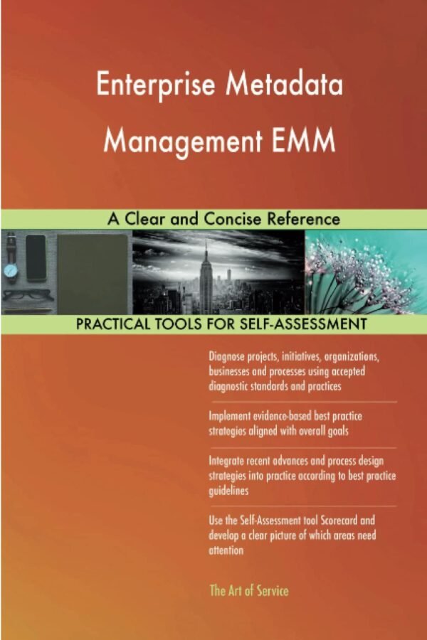 Enterprise Metadata Management EMM A Clear and Concise Reference Paperback – 30 November 2021
